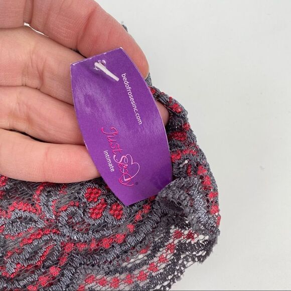 Just Sexy Gray & Pink Lace Cheeky Panties Size 2X NWT plus - Picture 2 of 4